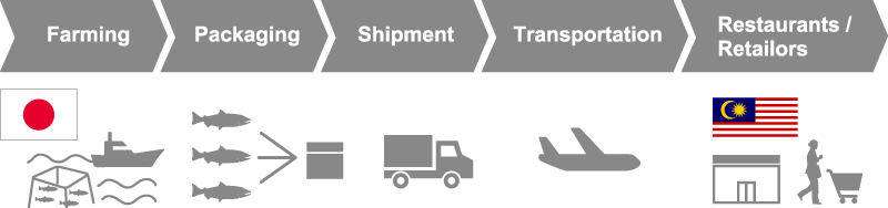 Farming→Packaging→Shipment→Transportation→Restaurants ／ Retailors